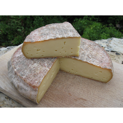 St Nectaire Cheese France