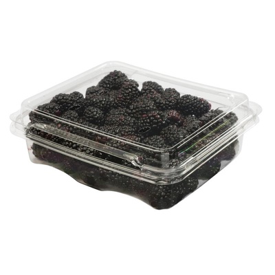 Blackberries 170g