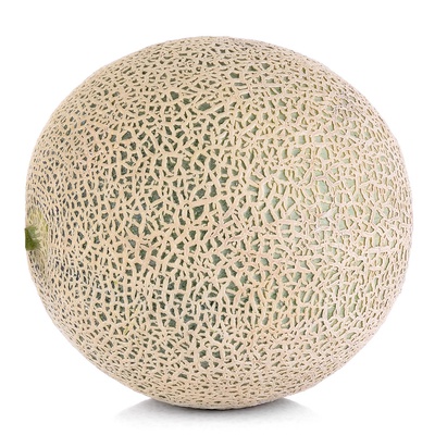 Cantaloupe Melons