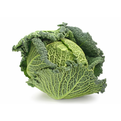 Savoy Cabbage