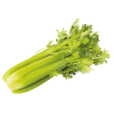 Celery