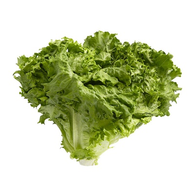 Green Leaf Lettuce