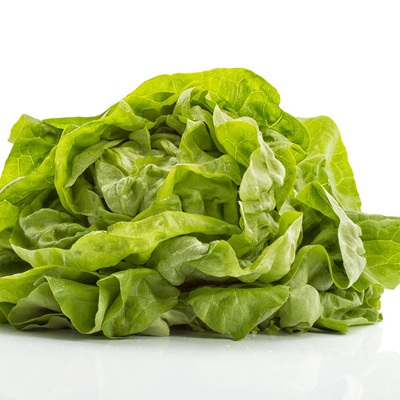 Butter Lettuce