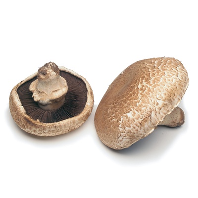Portobello Mushrooms