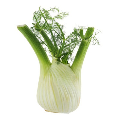 Fennel Bulb