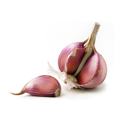 Garlic Bulb