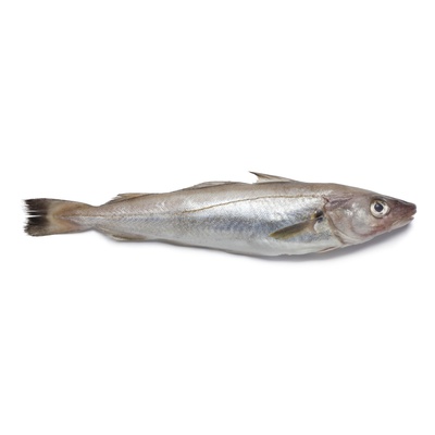 Merluzzo/Whiting Fish