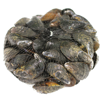PEI Mussels in Carta Fata