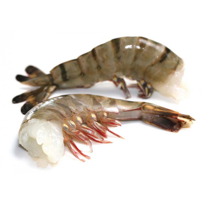 Fresh Black Tiger Shrimp 8/12