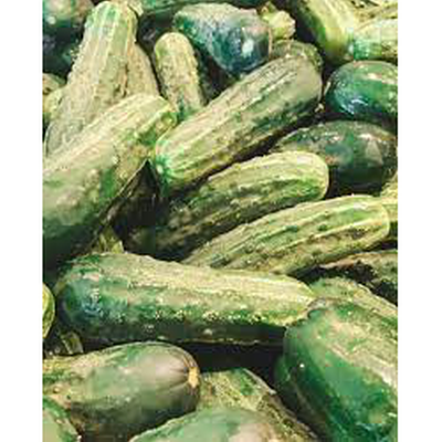 Dill Cucumbers Manitoba Grown