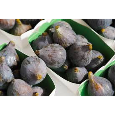 Black Figs in Basket