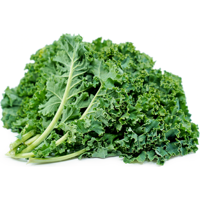 Kale Manitoba Grown