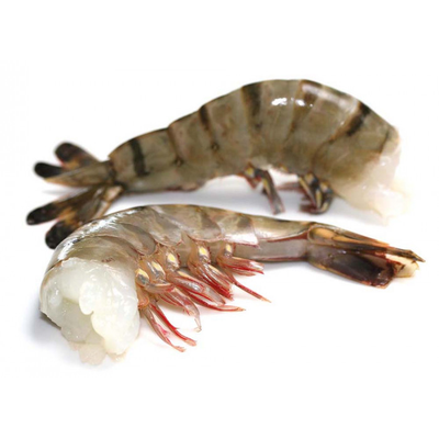 Mirabel Black Tiger Shrimp 13/15