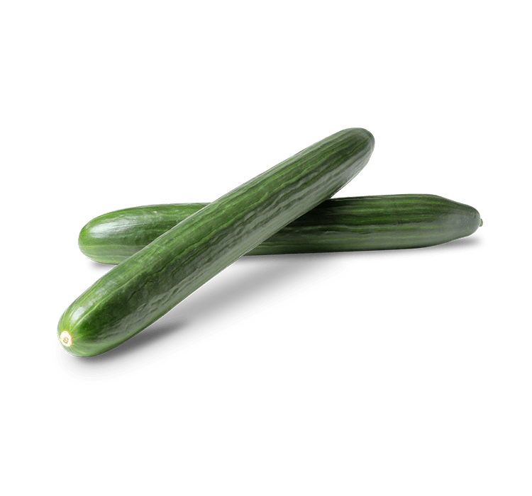 Greenland Gardens English Cucumbers St Anne Manitoba