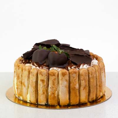 Tiramisu Torte